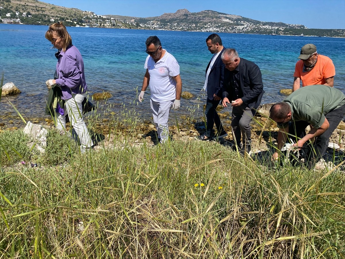 Muğla'nın Bodrum ilçesinde yapılan deniz ve kıyı temizliğinde, yaklaşık 2 ton atık toplandı....
