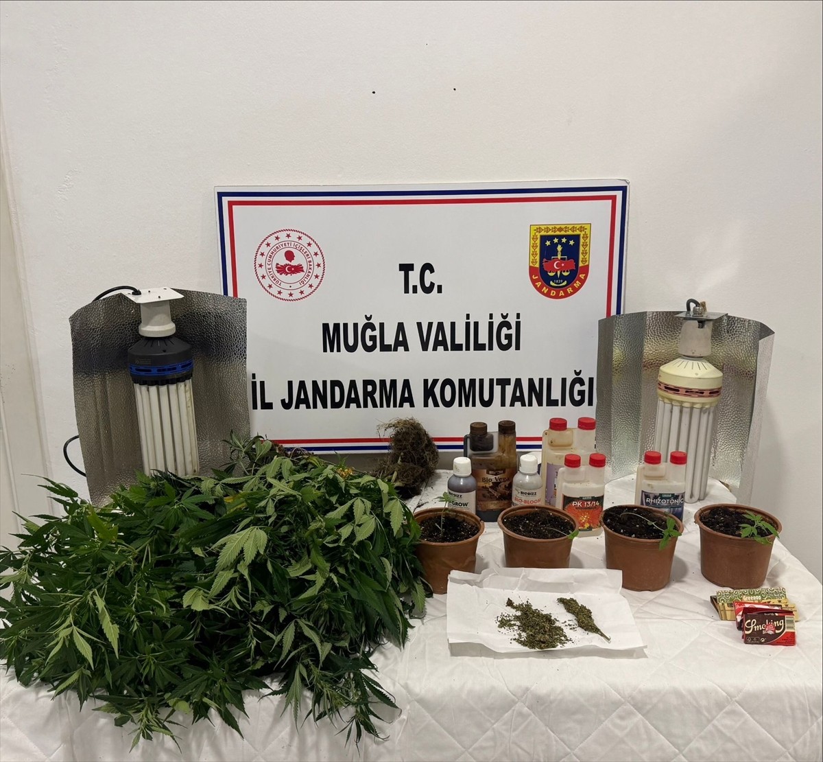 Muğla'nın Datça ilçesinde düzenlenen operasyonda, evde uyuşturucu madde yetiştirdiği öne sürülen 2...