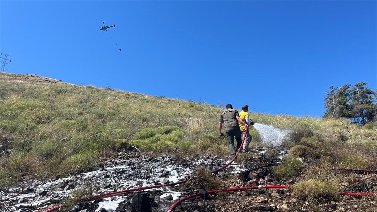 Muğla'nın Marmaris ilçesinde çıkan orman yangını ekiplerin havadan ve karadan müdahalesiyle...