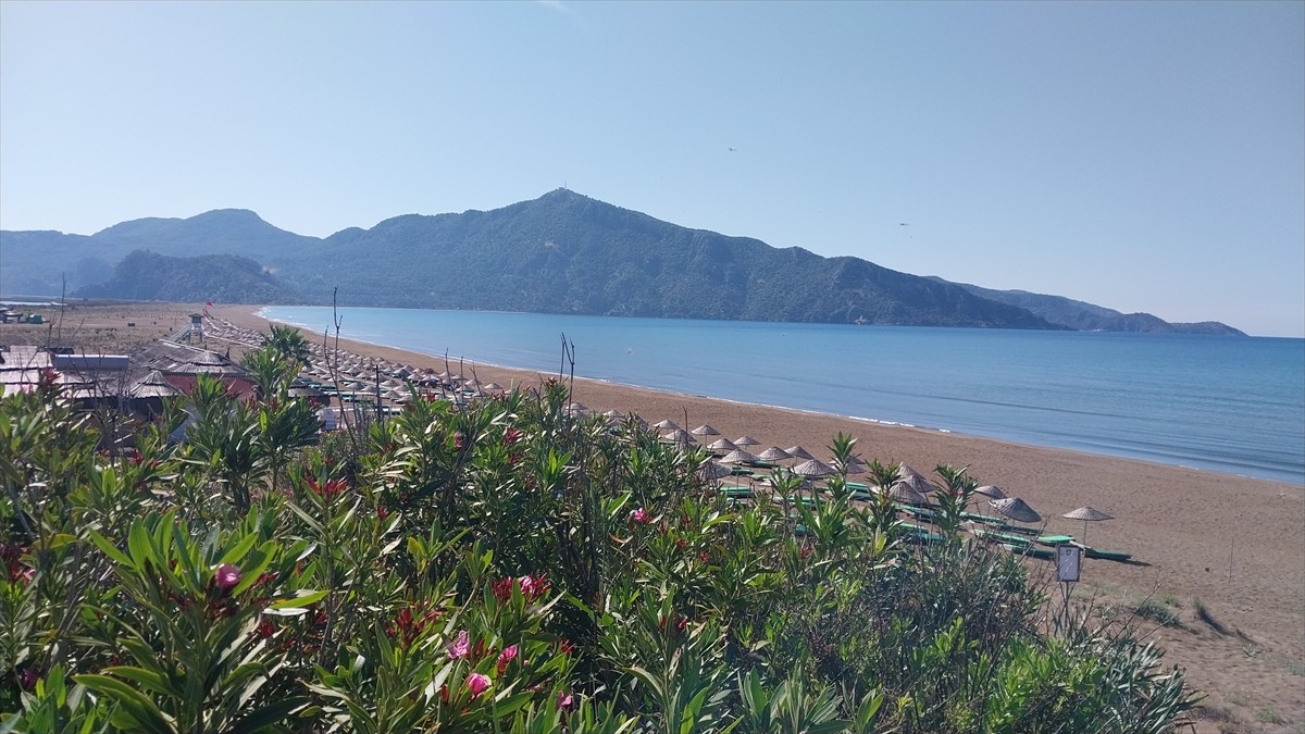 Muğla'nın Ortaca ilçesindeki İztuzu Sahili'nde nesli tükenme tehlikesi altındaki caretta caretta...