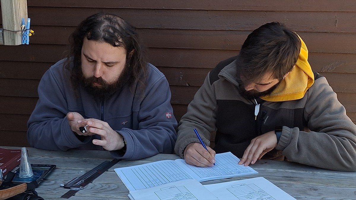 Ondokuz Mayıs Üniversitesi (OMÜ) Ornitoloji Araştırma Merkezi, Kızılırmak Deltası Kuş Cenneti'nde...