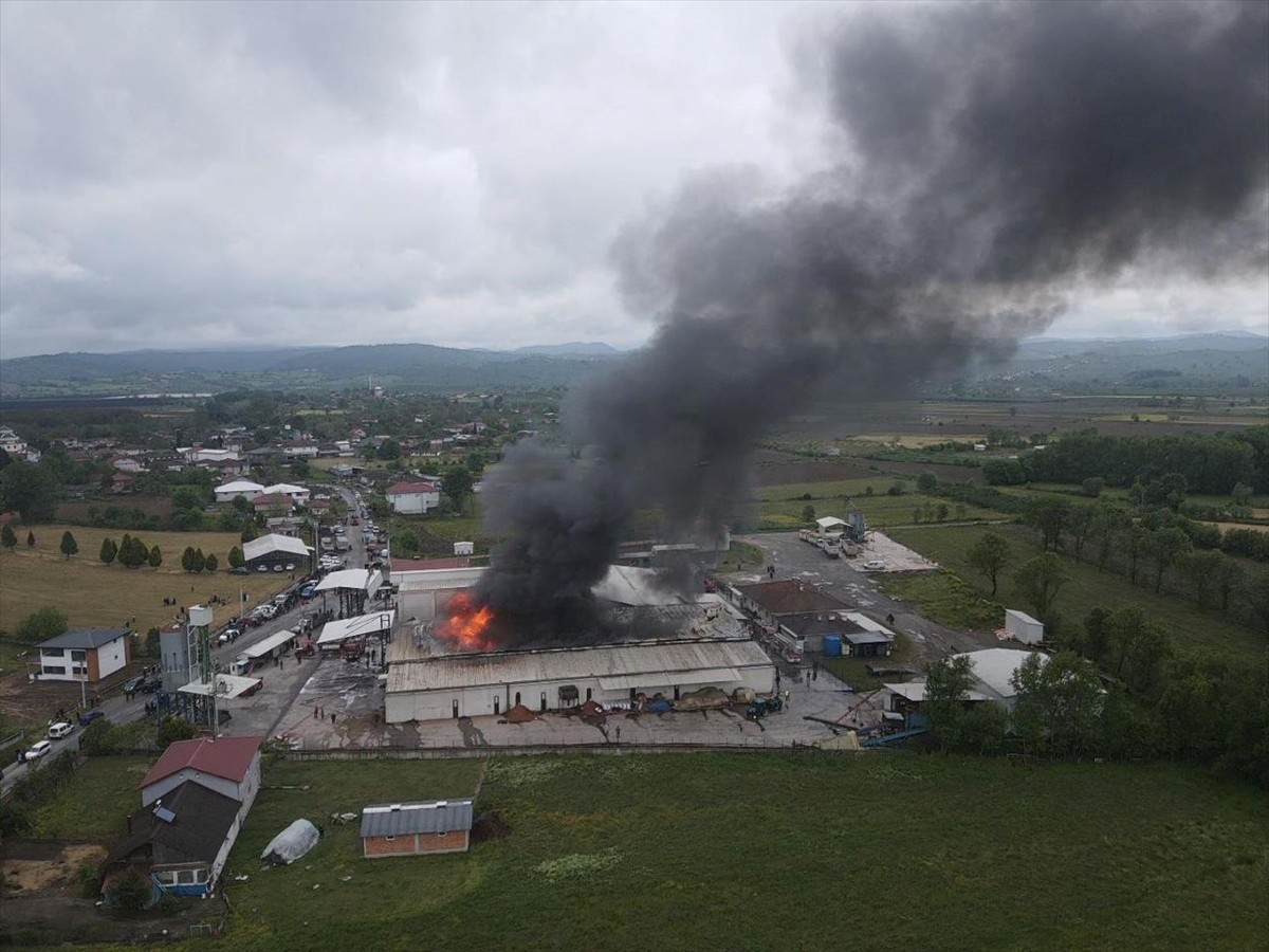  Sakarya'nın Karasu ilçesindeki fındık kırım fabrikasında çıkan yangına itfaiye ekipleri müdahale...