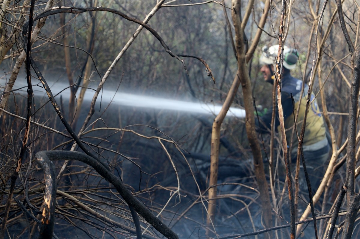 Suriye'nin Lazkiye iline bağlı Bayırbucak bölgesinin Şeren köyü yakınlarında ormanlık alanda çıkan...