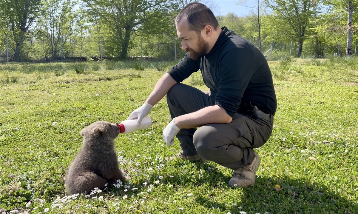 Tarım ve Orman Bakanlığı Doğa Koruma ve Milli Parklar Sinop 10. Bölge Müdürlüğü veteriner...