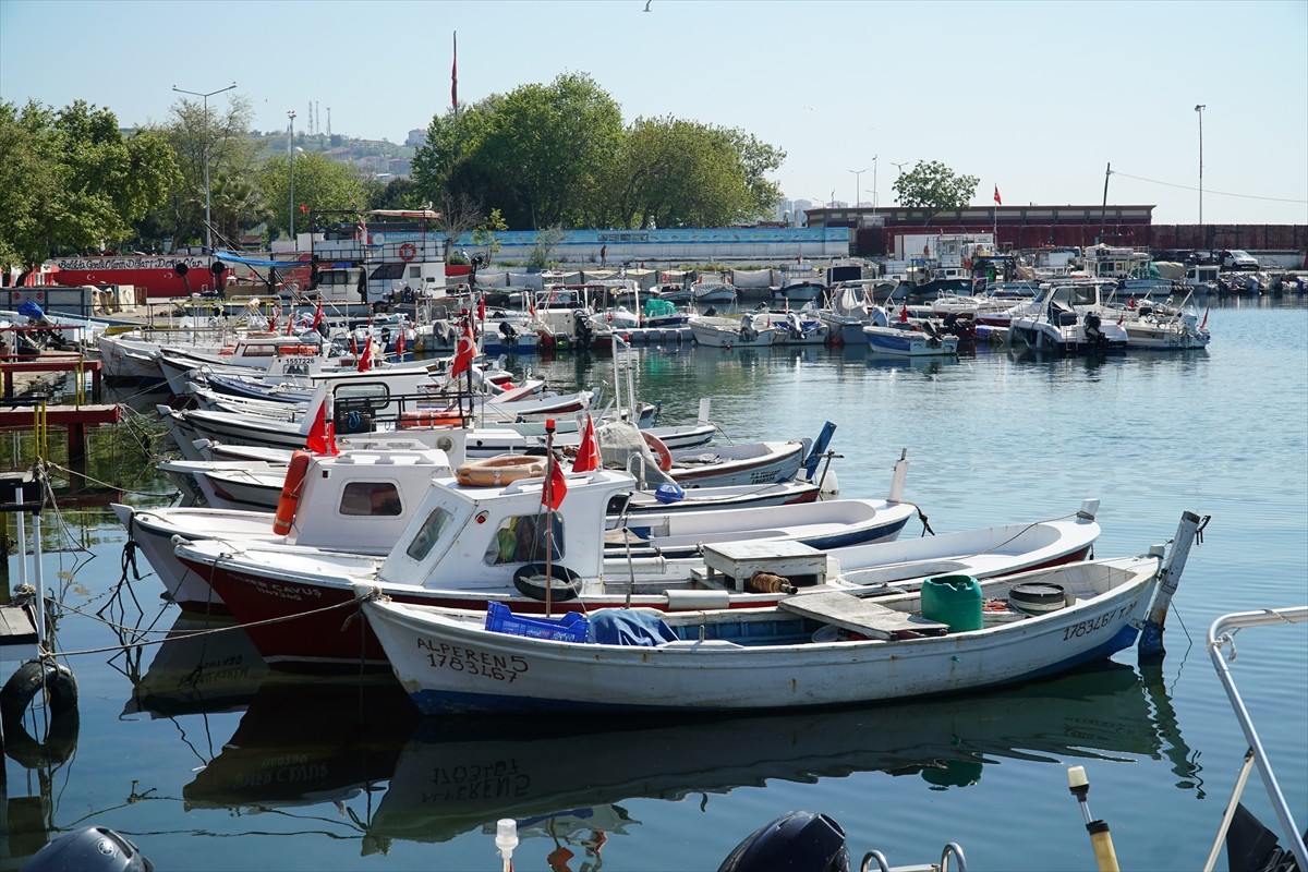 Tekirdağ'da bir haftadır etkili olan poyraz nedeniyle avlanamayan balıkçılar, rüzgarın...