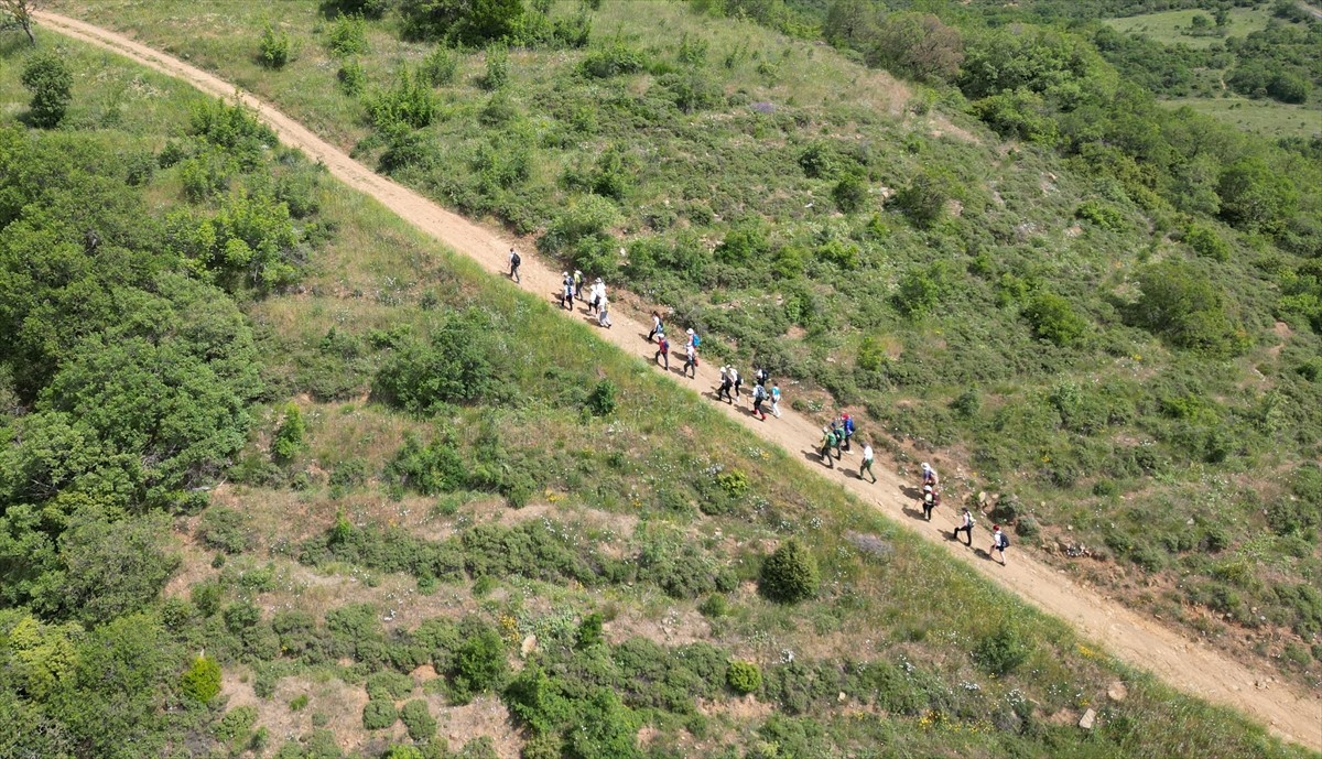  Tekirdağ'da "Müzeler Haftası" dolayısıyla Ganos Dağı eteklerindeki ormanlarda doğa yürüyüşü...