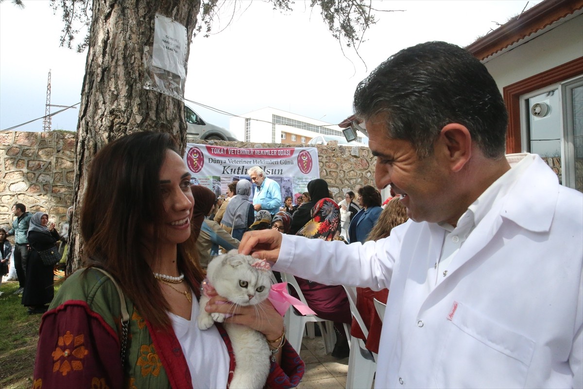 Tokat'ta, Dünya Veteriner Hekimler Günü kapsamında kedi güzellik yarışması düzenlendi. Tokat...