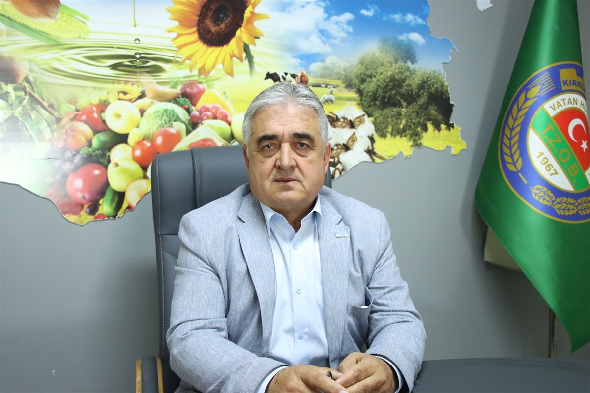 Trakya'da "gündöndü" olarak anılan ayçiçeği, son haftalarda etkili olan yağışlarla hızlı gelişim...