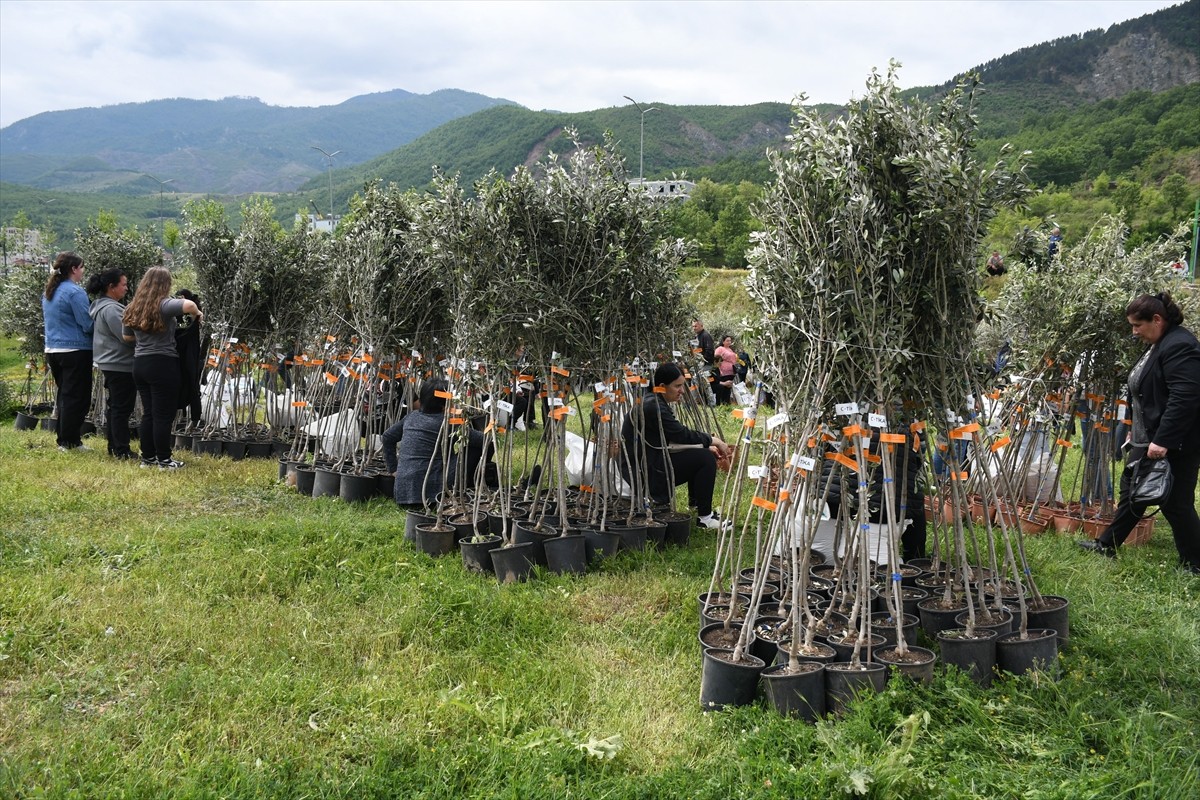 Türk İşbirliği ve Koordinasyon Ajansı Başkanlığı (TİKA), Geleceğin Alternatifi Vakfı (ALSAR)...