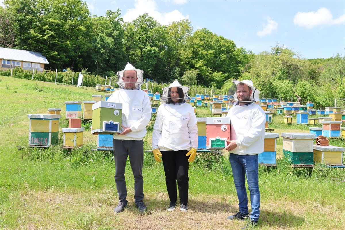 Türk İşbirliği ve Koordinasyon Ajansı Başkanlığı (TİKA), Kosova’da sürdürülebilir arıcılığı...