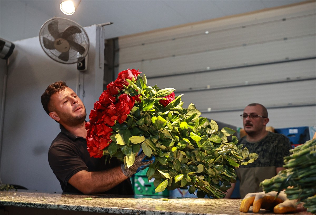 Türkiye'nin önemli kesme gül ve salon bitkisi üretim merkezlerinden Mersin'de, Anneler Günü'ne...