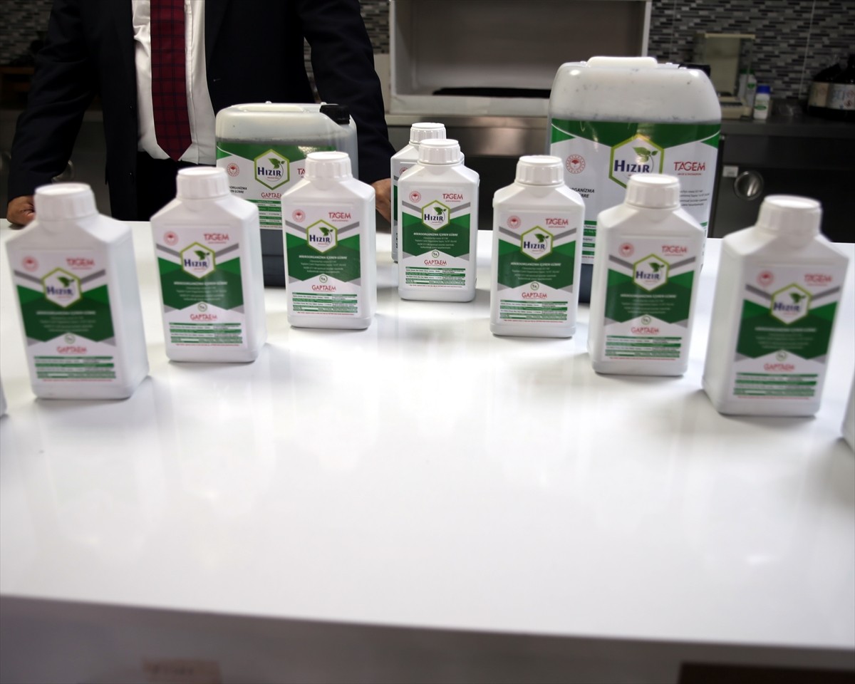 Türkiye'nin önemli tarımsal üretim merkezlerinden Şanlıurfa'da, GAP Tarımsal Araştırmalar...