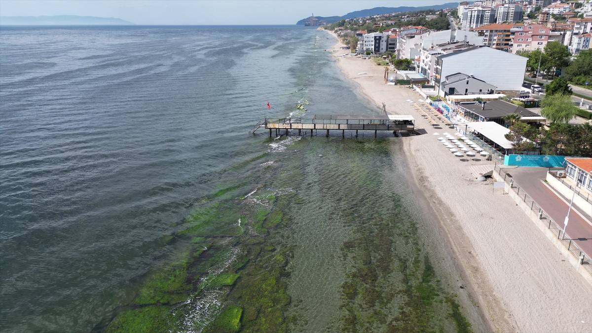 Türkiye Çevre Eğitim Vakfı (TÜRÇEV) tarafından yüzme suyu kalitesi, çevre eğitimi, çevre yönetimi...