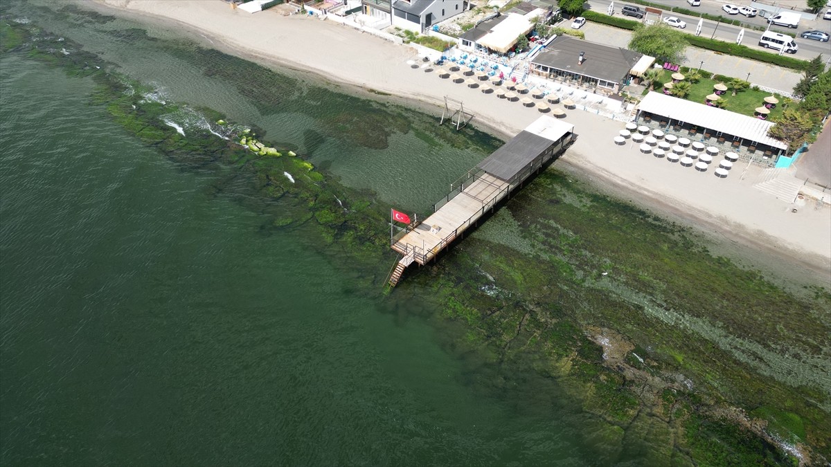 Türkiye Çevre Eğitim Vakfı (TÜRÇEV) tarafından yüzme suyu kalitesi, çevre eğitimi, çevre yönetimi...