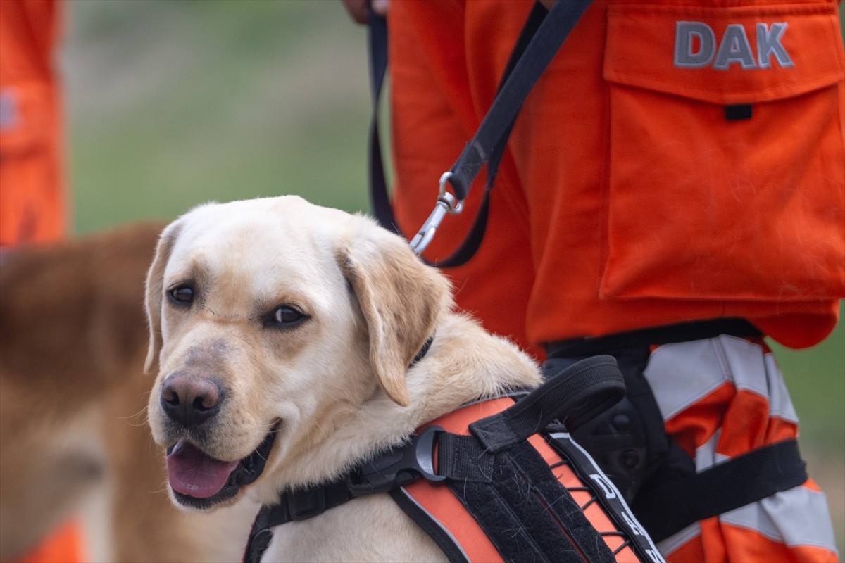 Türkiye ile Kuzey Kıbrıs Türk Cumhuriyeti (KKTC) tarafından ortaklaşa düzenlenen "Türkiye-KKTC DAK...