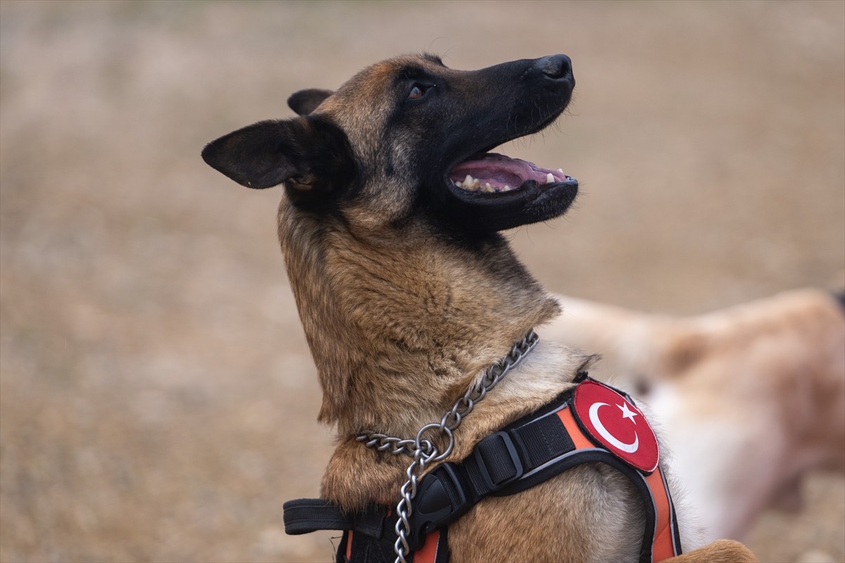Türkiye ile Kuzey Kıbrıs Türk Cumhuriyeti (KKTC) tarafından ortaklaşa düzenlenen "Türkiye-KKTC DAK...
