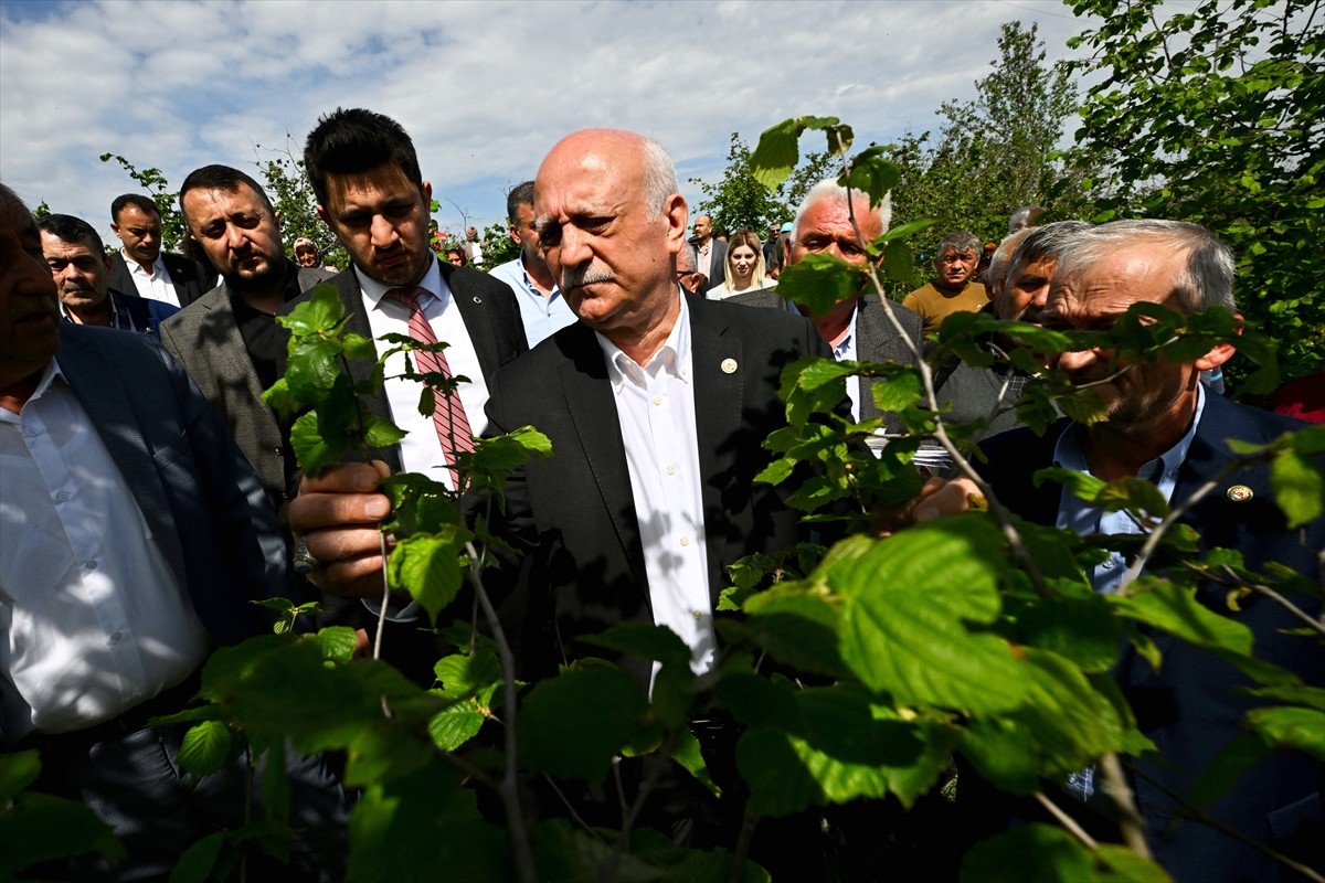 Türkiye Ziraat Odaları Birliği (TZOB) Genel Başkanı Şemsi Bayraktar, Düzce'de zirai dondan...