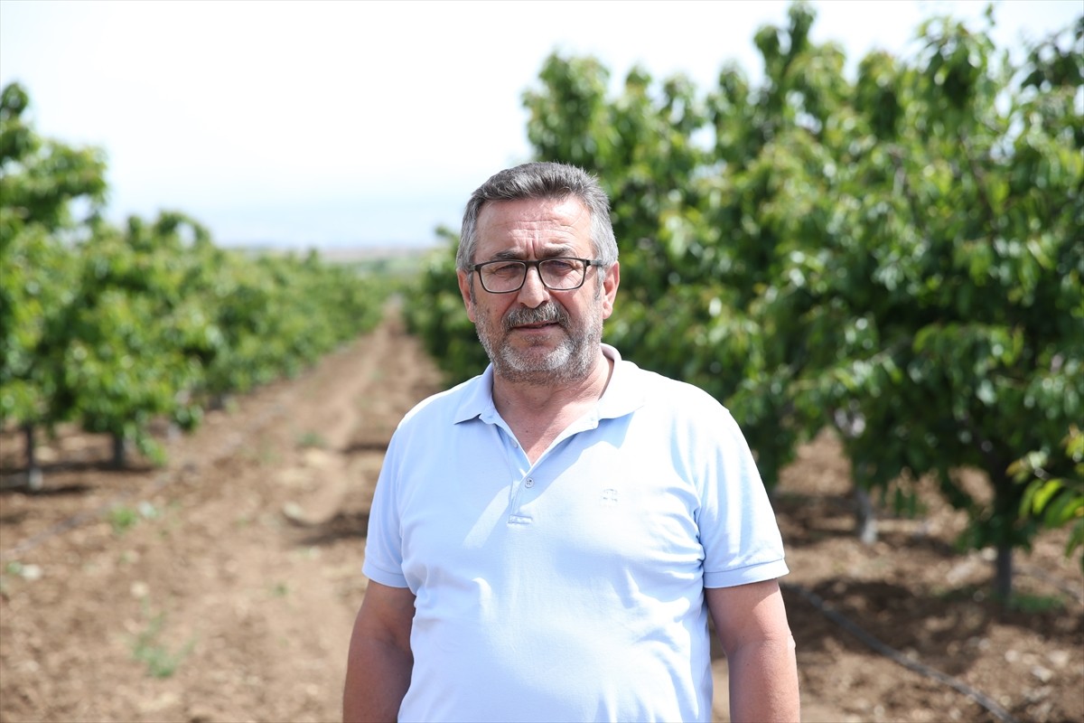 Türkiye Ziraat Odaları Birliği (TZOB) Genel Başkanı Şemsi Bayraktar, Eskişehir'in Mihalıççık...