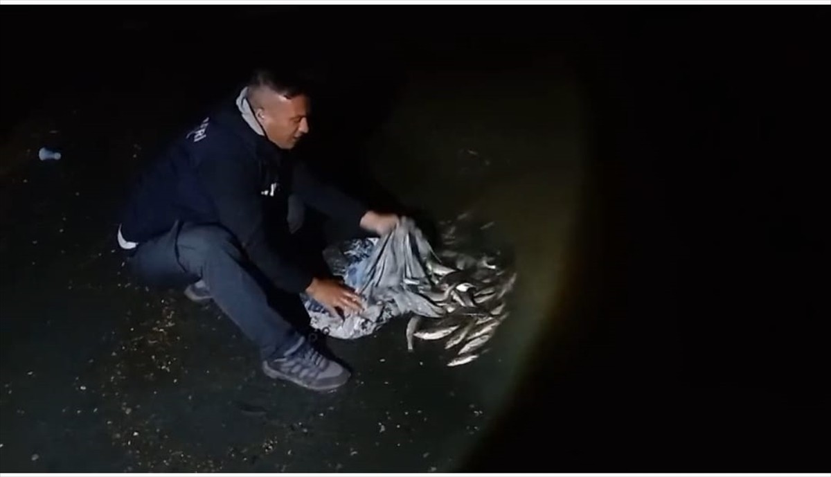 Van'ın Tuşba ve Muradiye ilçelerinde kaçak inci kefali avladığı tespit edilen kişiye 59 bin 394...