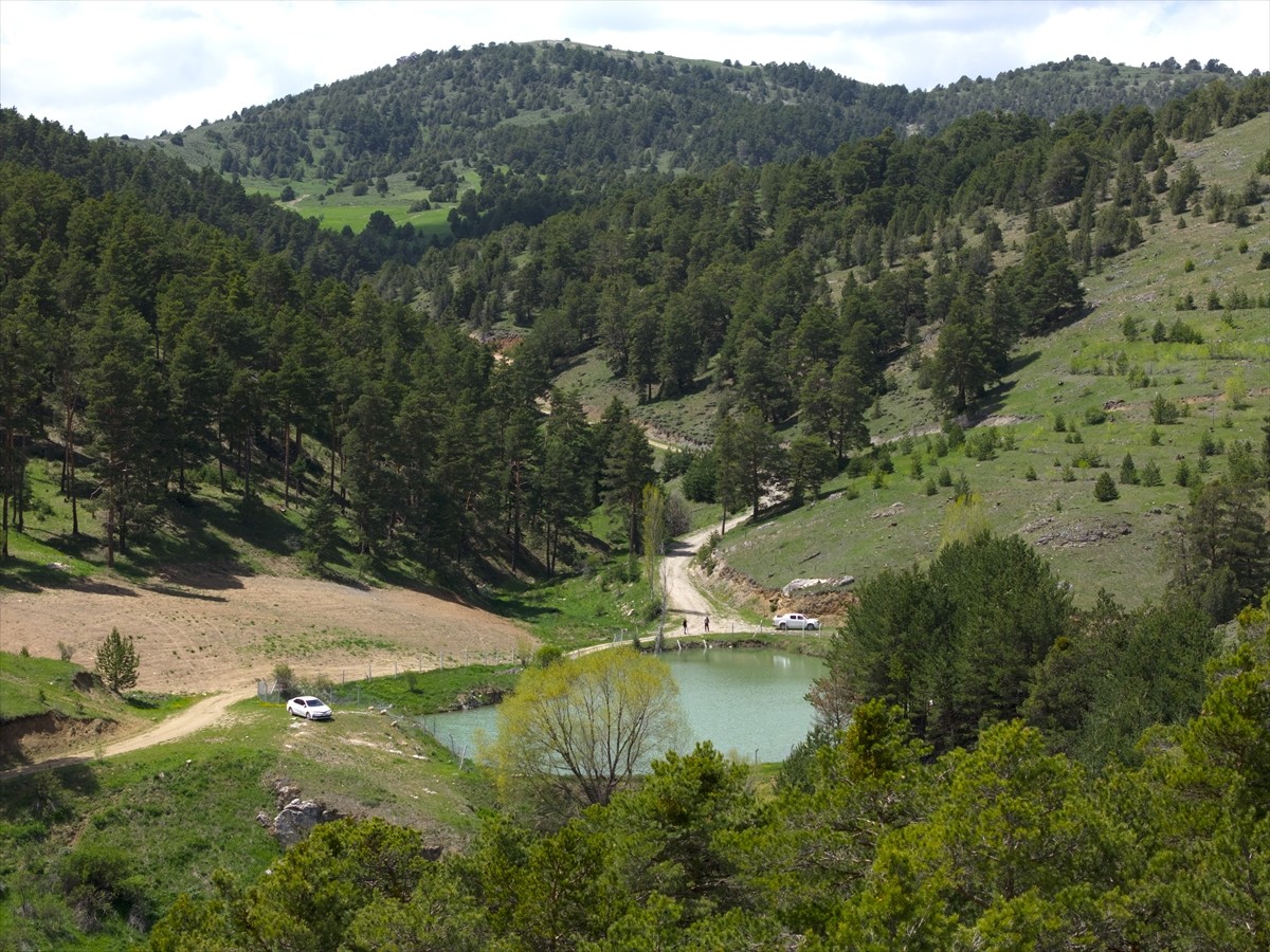 Yozgat'ın Akdağmadeni ilçesinde 1800 rakımda yer alan Çerçialan Göleti, havaların ısınmasıyla...