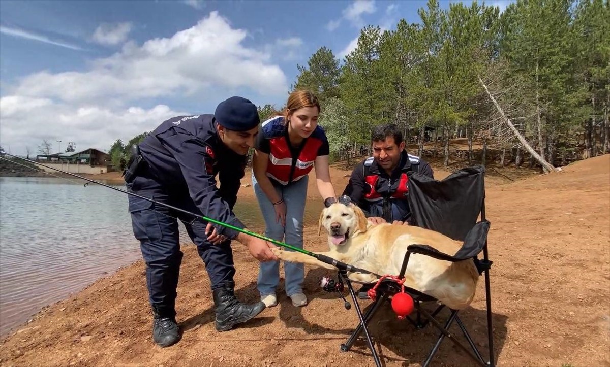 Yozgat İl Jandarma Komutanlığında 13 yıldır görev yapan iz takip köpeği "Dost", emekliye ayrıldı....