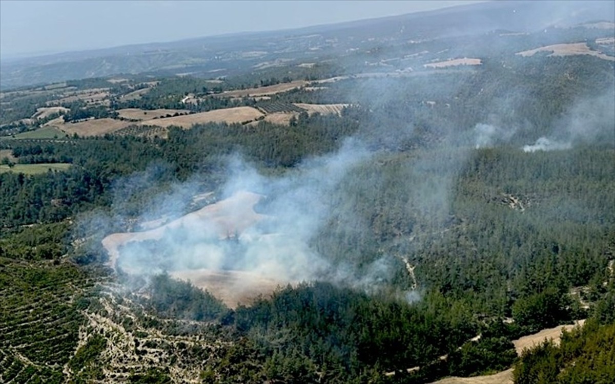 Adana'nın İmamoğlu ilçesinde çıkan orman yangına havadan ve karadan müdahale ediliyor.