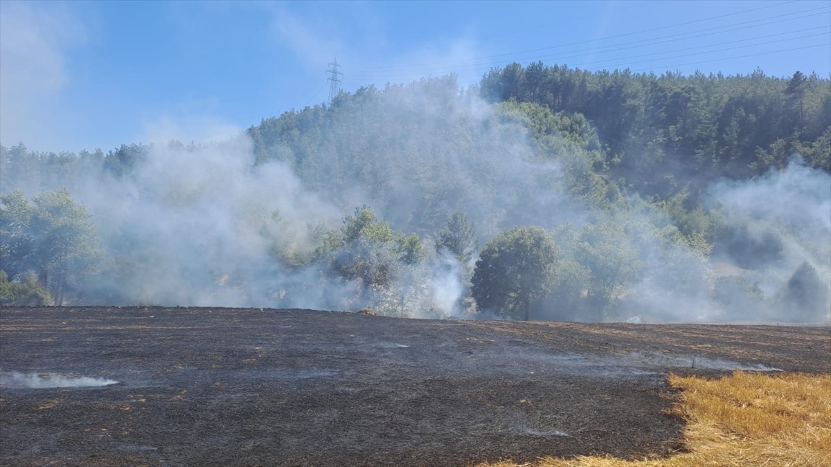 Adana'nın Kozan ilçesinde ormanlık alanda çıkan yangına havadan ve karadan müdahale ediliyor.