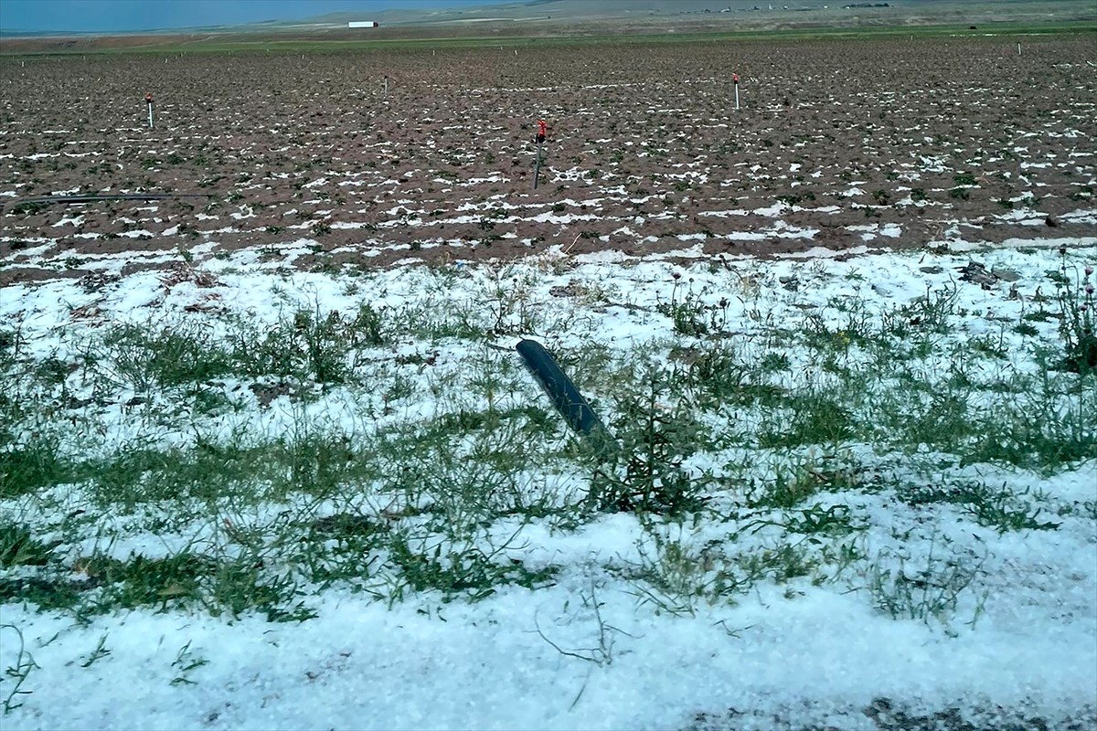 Aksaray'ın merkez ilçesine bağlı köylerinde etkili olan dolu, tarım arazilerinde zarara yol...