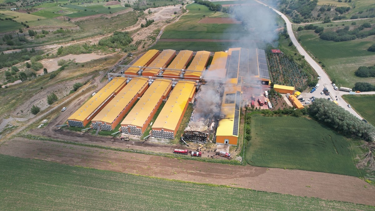 Ankara'nın Çubuk ilçesinde bir firmaya ait yumurta üretim tesisinde çıkan yangında 1 kişi dumandan...