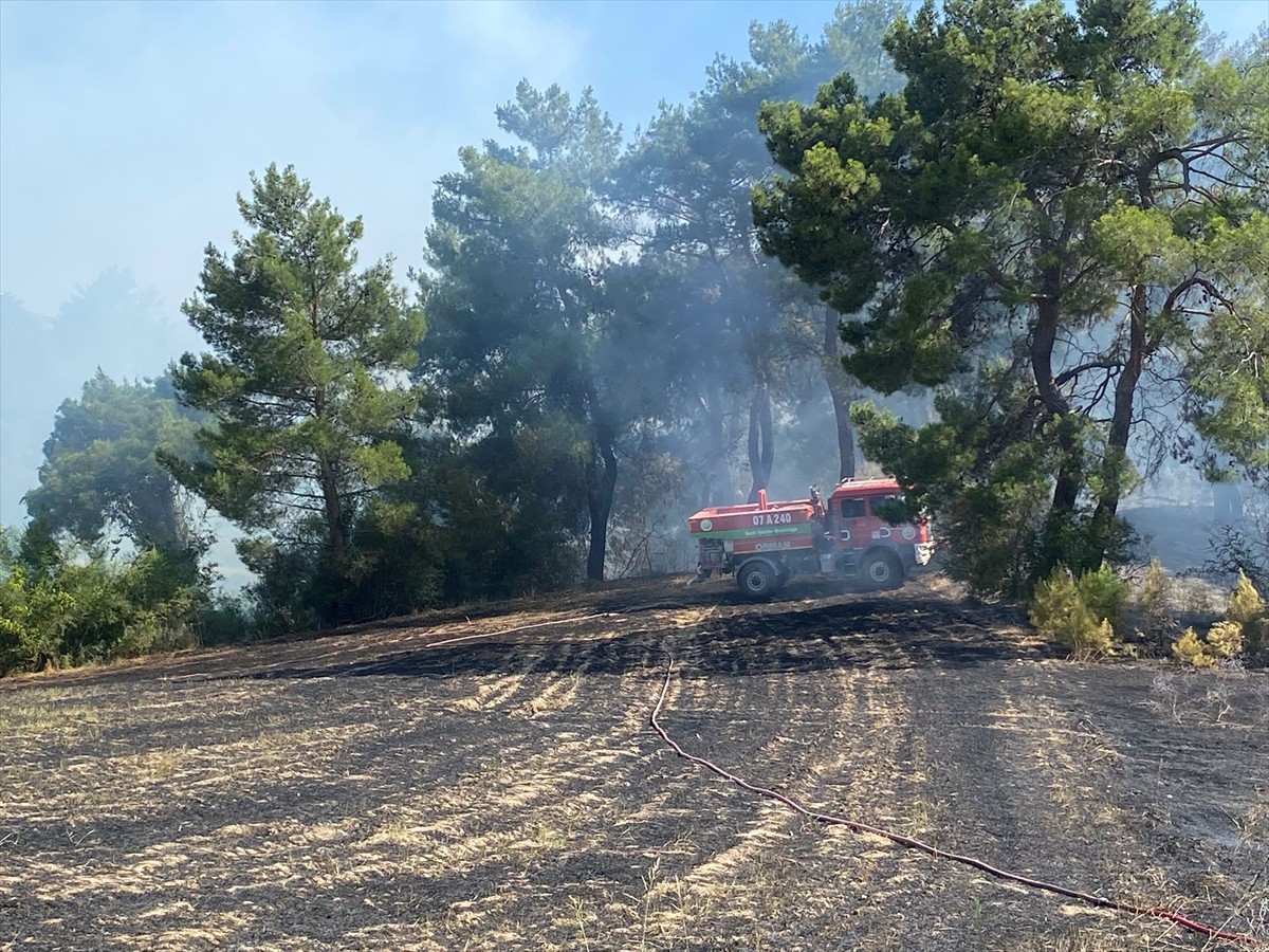 Antalya'nın Serik ilçesinde ormanlık alanda çıkan yangın kontrol altına alındı.