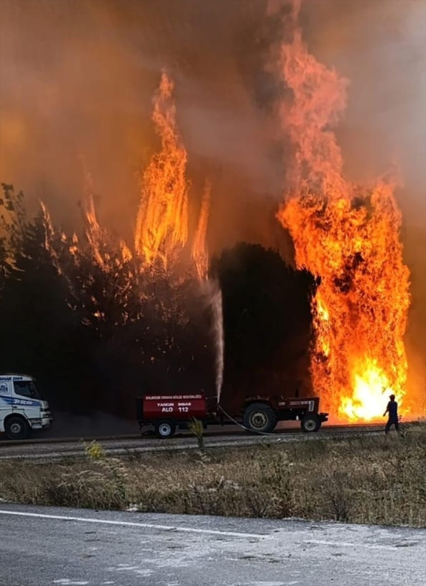 Balıkesir'de Dursunbey, Manyas, Burhaniye ve Karesi ilçelerinde çıkan arazi ve orman yangınlarına...