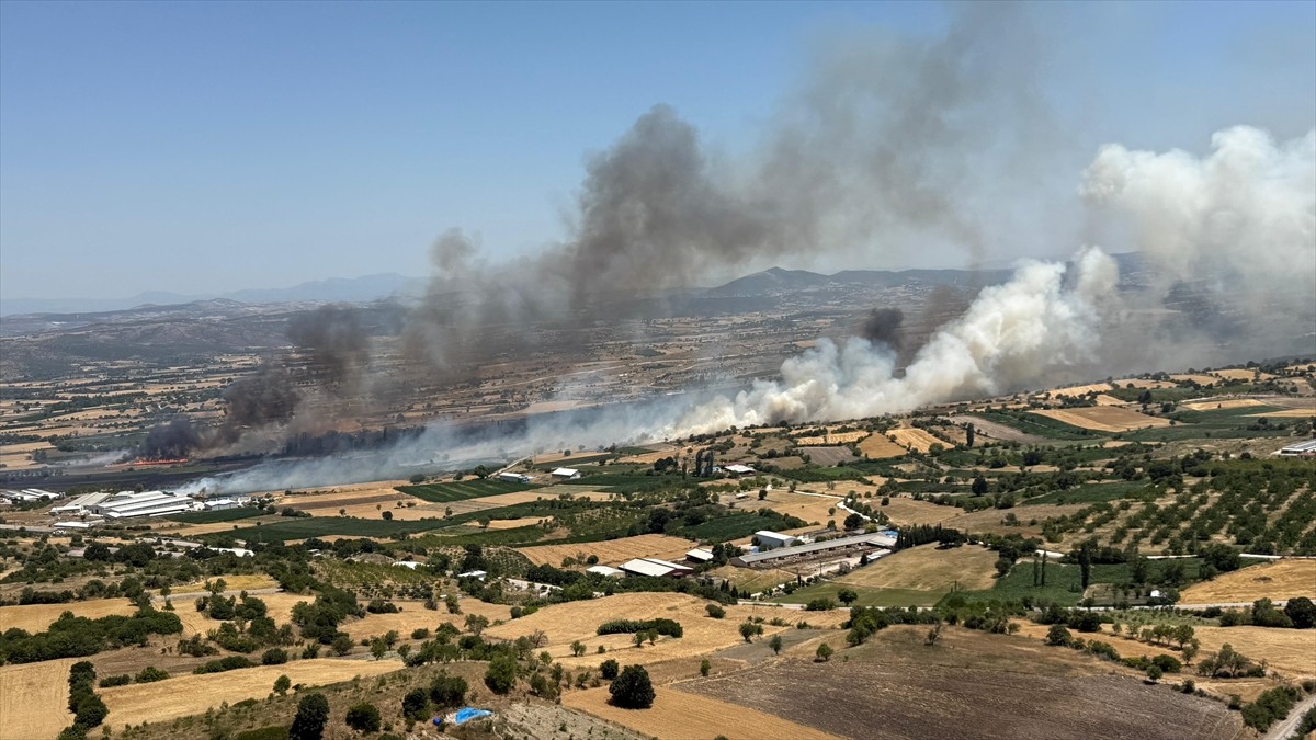 Balıkesir'in Altıeylül ilçesinde tarım arazisinde çıkan yangın, havadan ve karadan müdahaleyle...