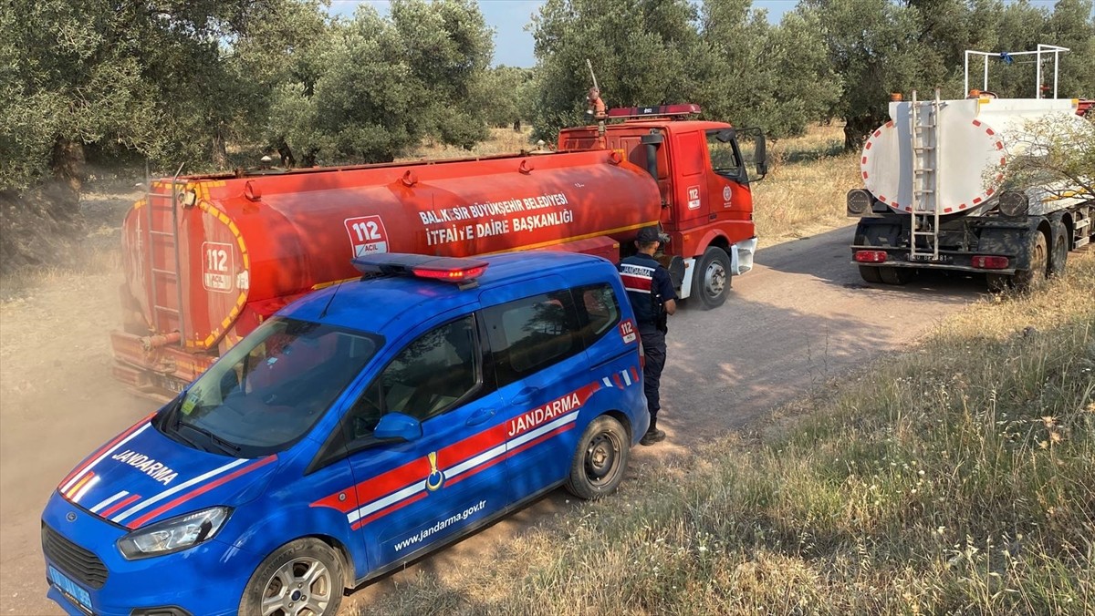 Balıkesir'in Ayvalık ilçesinde zeytinlik alanda çıkan yangın, havadan ve karadan müdahaleyle...