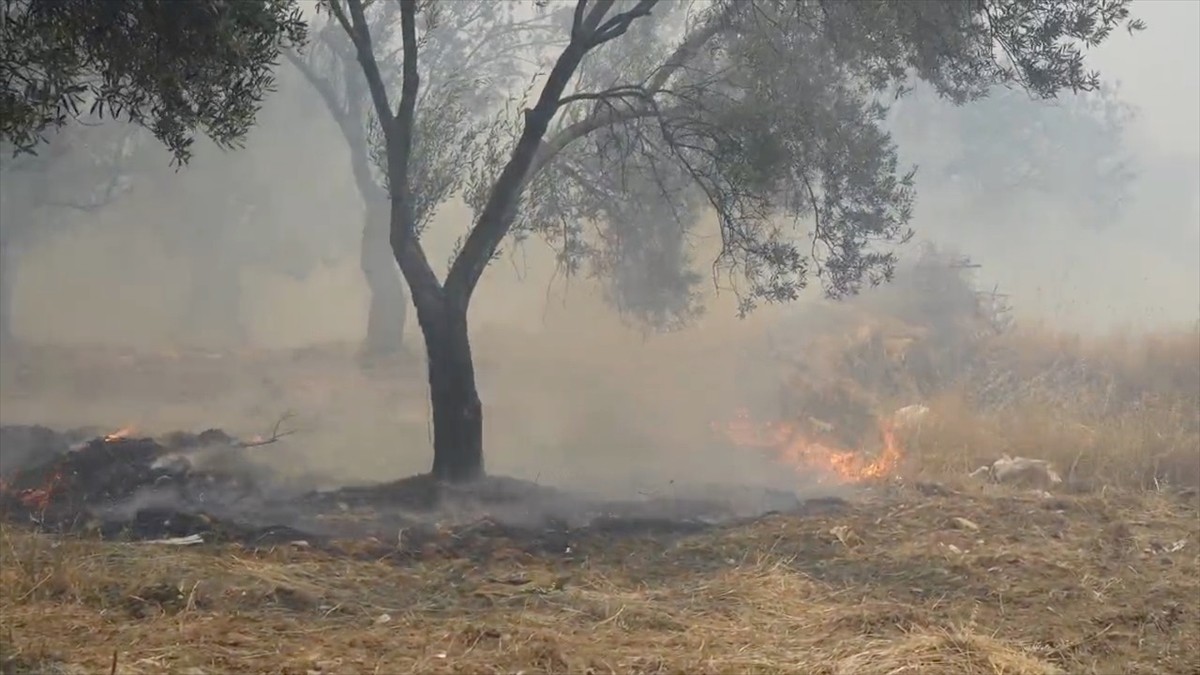 Balıkesir'in Edremit ilçesinde çöplük alanda başlayan yangın, şiddetli rüzgarın etkisiyle...
