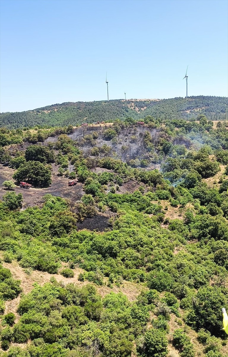 Balıkesir'in Kepsut ilçesinde arazide çıkıp ormana ulaşan yangın kontrol altına alındı.