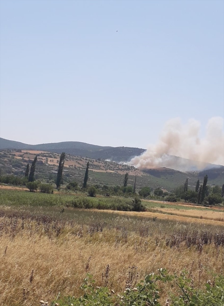 Balıkesir'in Kepsut ilçesinde çıkan orman yangınına havadan ve karadan müdahale ediliyor.