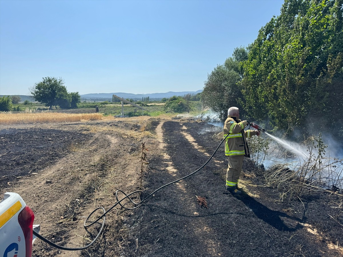Balıkesir'in Savaştepe ilçesinde çıkan, havadan ve karadan müdahaleyle söndürülen yangında 12...