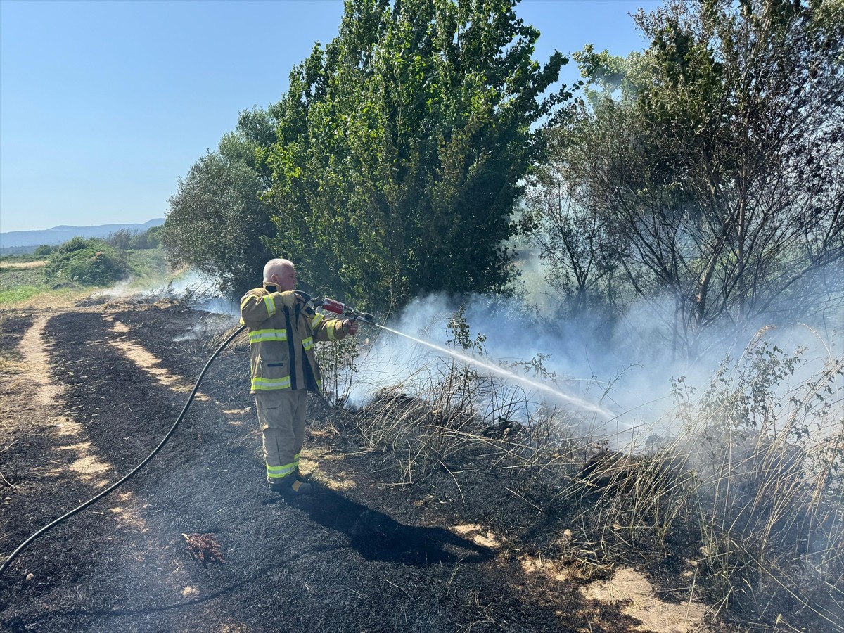 Balıkesir'in Savaştepe ilçesinde çıkan, havadan ve karadan müdahaleyle söndürülen yangında 12...