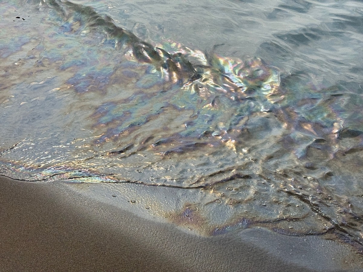Bartın'ın İnkumu tatil beldesinde kirlilik ve mazot kokusu şikayetiyle ilgili inceleme...