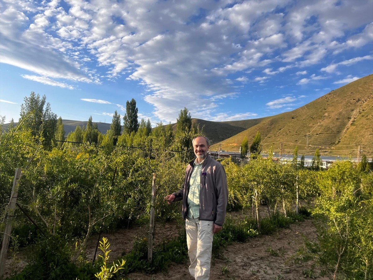 Bayburt Üniversitesi Tarım ve Hayvancılık Uygulama ve Araştırma Merkezince iklime ve çevresel...