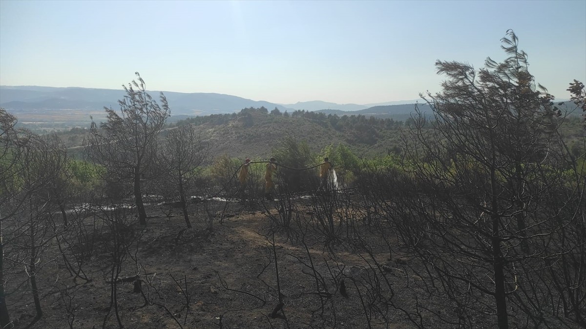 Bilecik'in Osmaneli ilçesinde çıkan yangında yaklaşık 5 dönüm buğday tarlası ve 2 hektarlık...