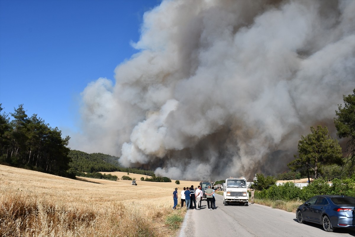 Bilecik'in Osmaneli ilçesindeki orman yangını ekiplerce söndürülmeye çalışılıyor.