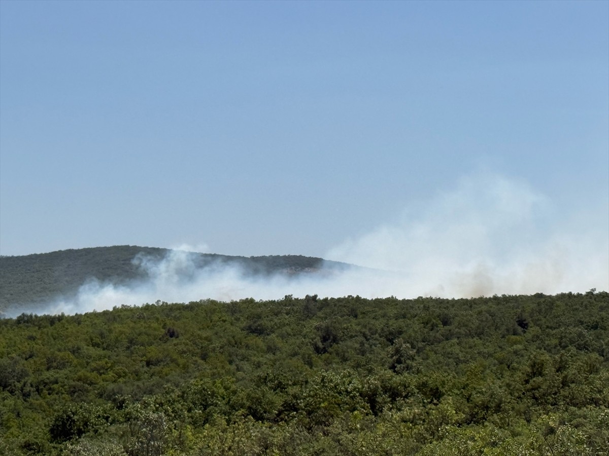 Bursa'nın Nilüfer ilçesinde çıkan orman yangınına havadan ve karadan müdahale ediliyor.