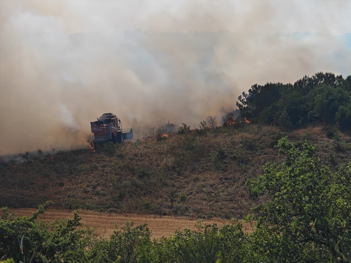 Bursa'nın Yenişehir ilçesinde anızda başlayıp ormana sıçrayan yangına havadan ve karadan müdahale...