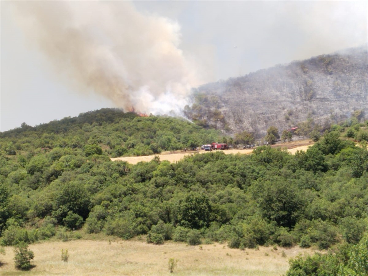 Bursa'nın Yenişehir ilçesinde çıkan orman yangını havadan ve karadan müdahaleyle kontrol altına...