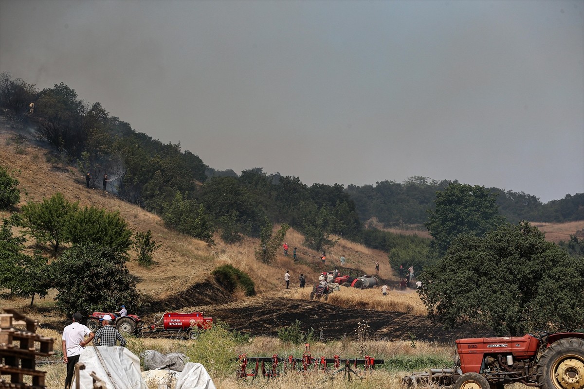 Bursa'nın Yenişehir ilçesinde çıkan orman yangını havadan ve karadan müdahaleyle kontrol altına...