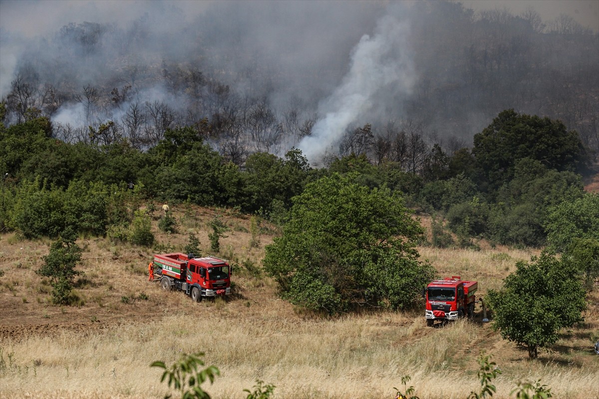 Bursa'nın Yenişehir ilçesinde çıkan orman yangını havadan ve karadan müdahaleyle kontrol altına...