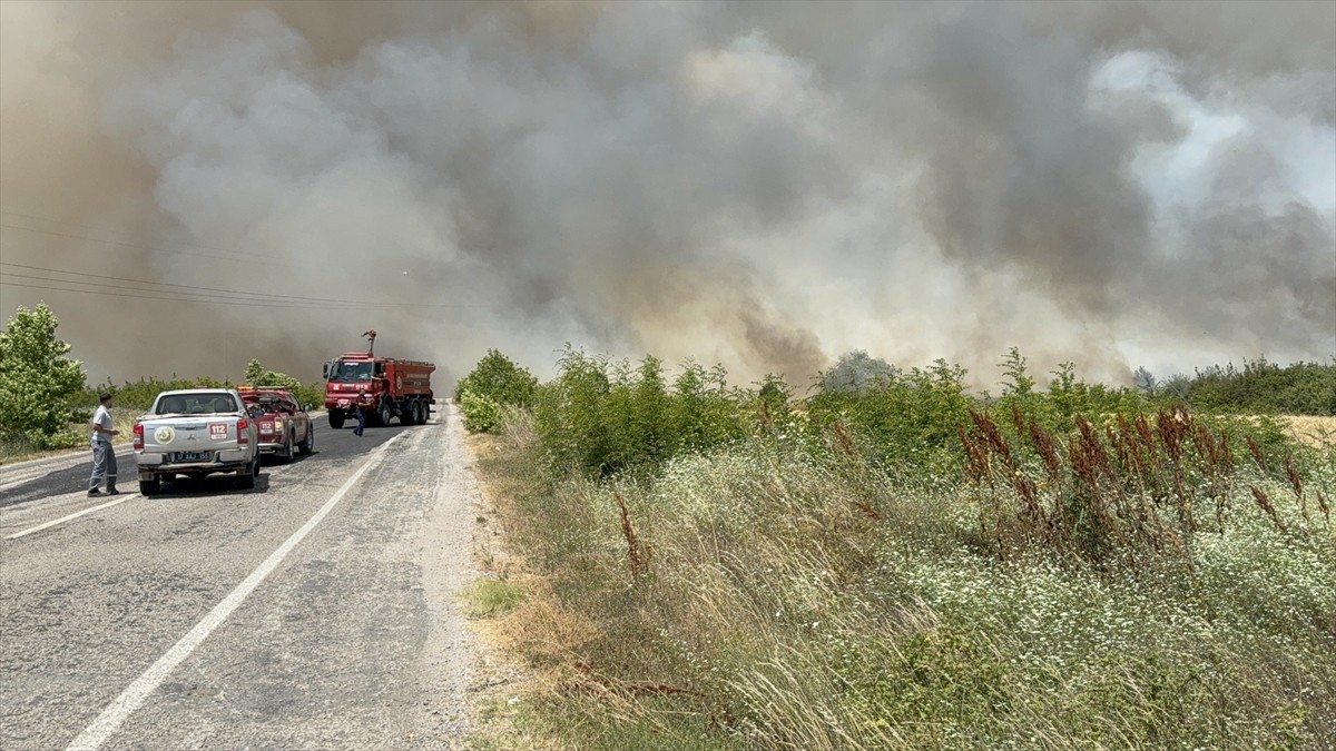 Çanakkale'nin Çan ilçesinde tarım arazisinde çıkan yangın, havadan ve karadan müdahaleyle...