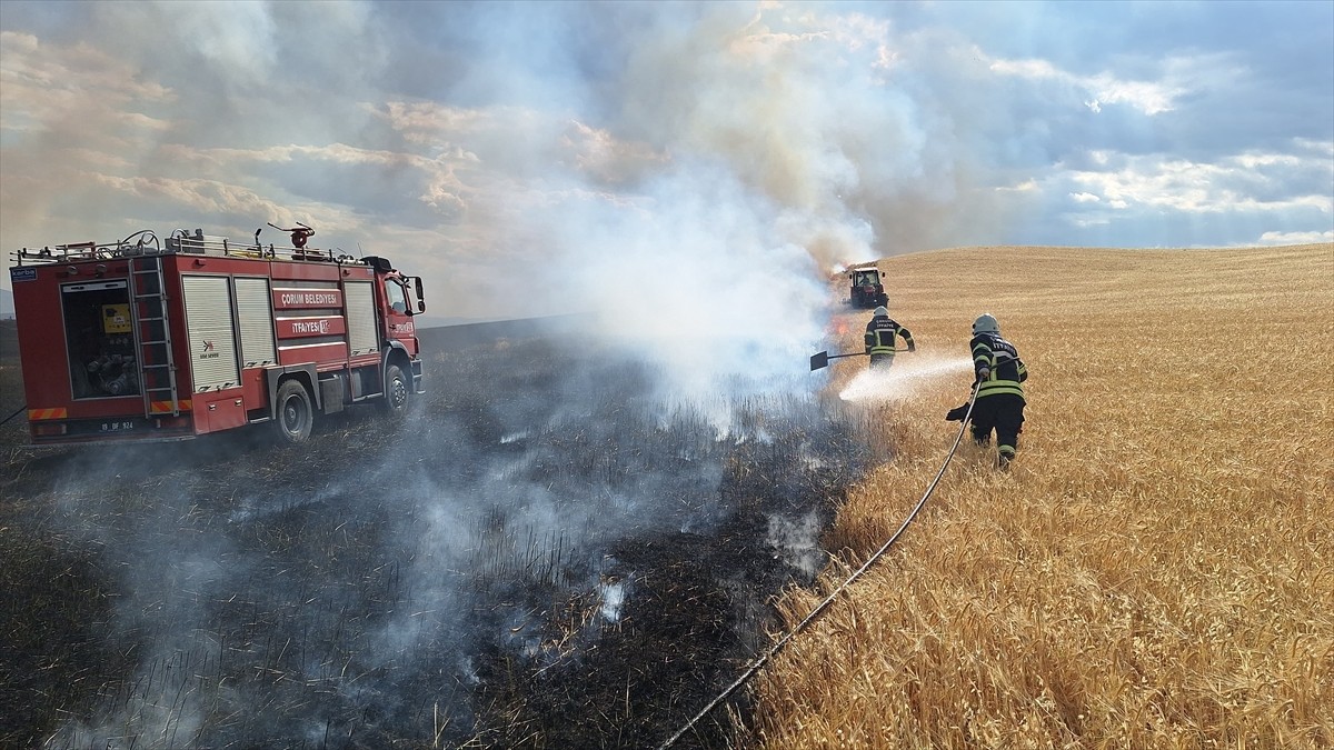 Çorum'da kimliği belirsiz kişi tarafından kasıtlı olarak başlatıldığı iddia edilen yangında...
