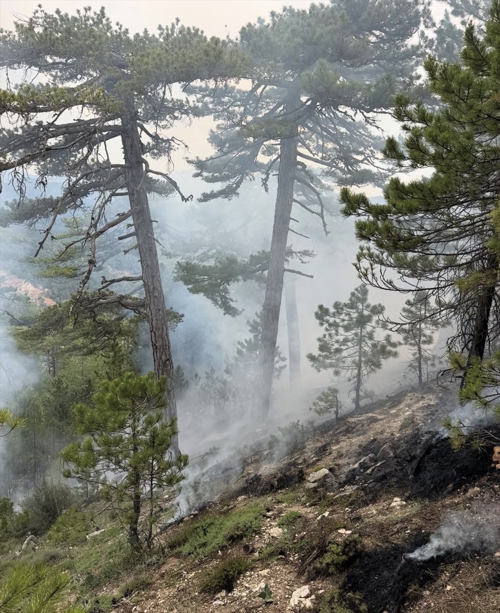 Denizli'nin Çameli ilçesinde çıkan orman yangını ekiplerin müdahalesiyle söndürüldü.